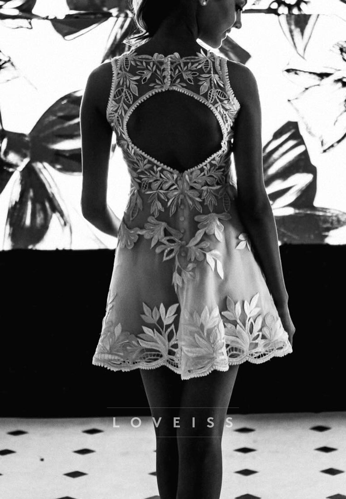 Embroidered Lace A-Line Mini Dress with Open Back
