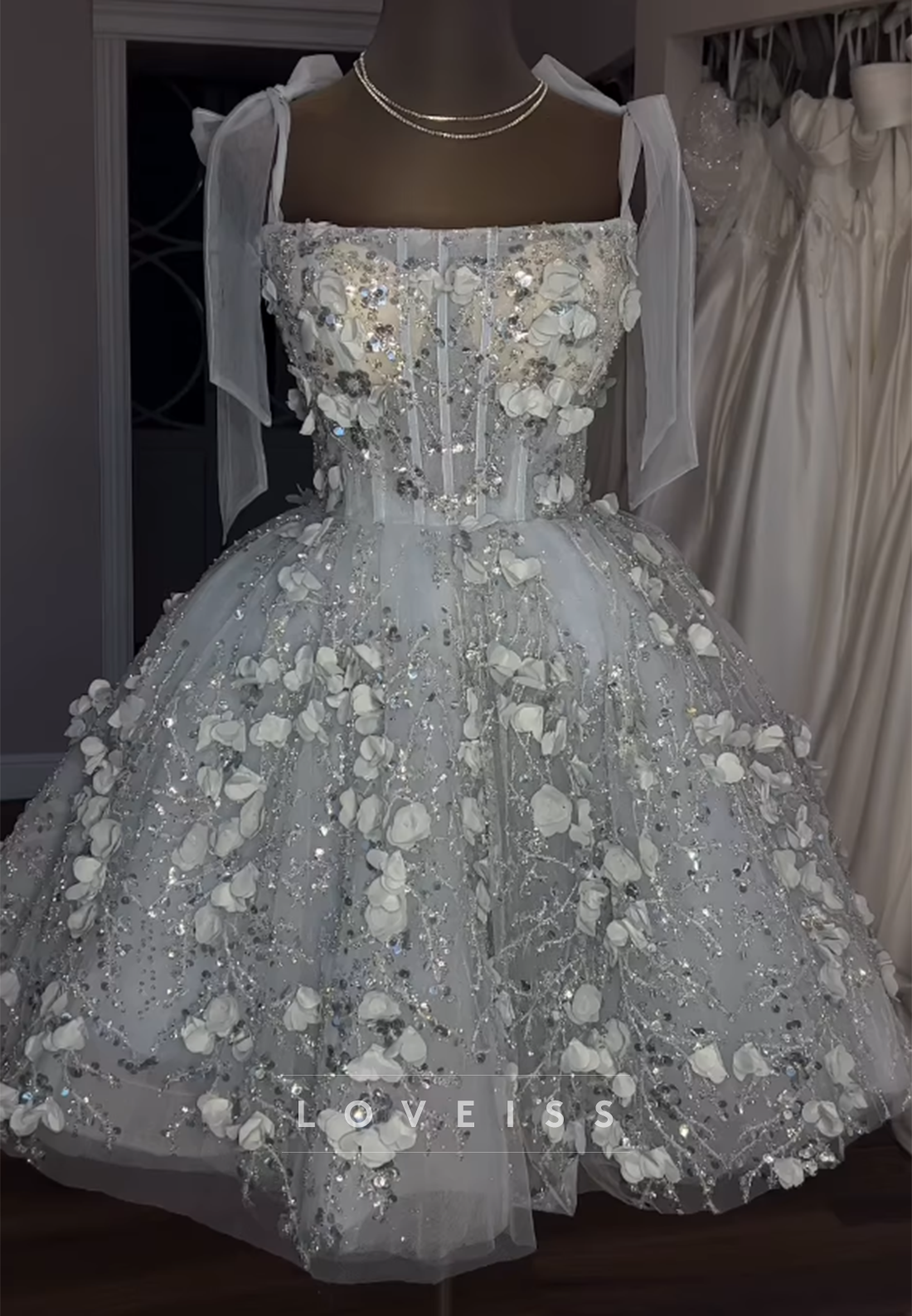 Corset Mini Dress with 3D Floral Appliques