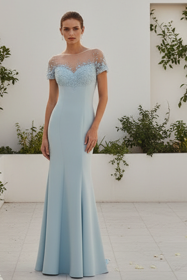 Wedding Guest Dress Mermaid Gown With Beaded Illusion Neck
