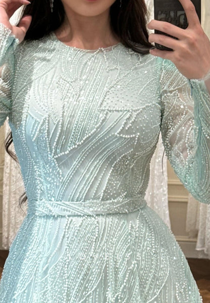 Scoop Long Sleeves Beaded Embroidery Sparkly A-Line Evening Dress