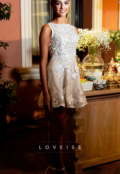 Embroidered Lace A-Line Mini Dress with Open Back