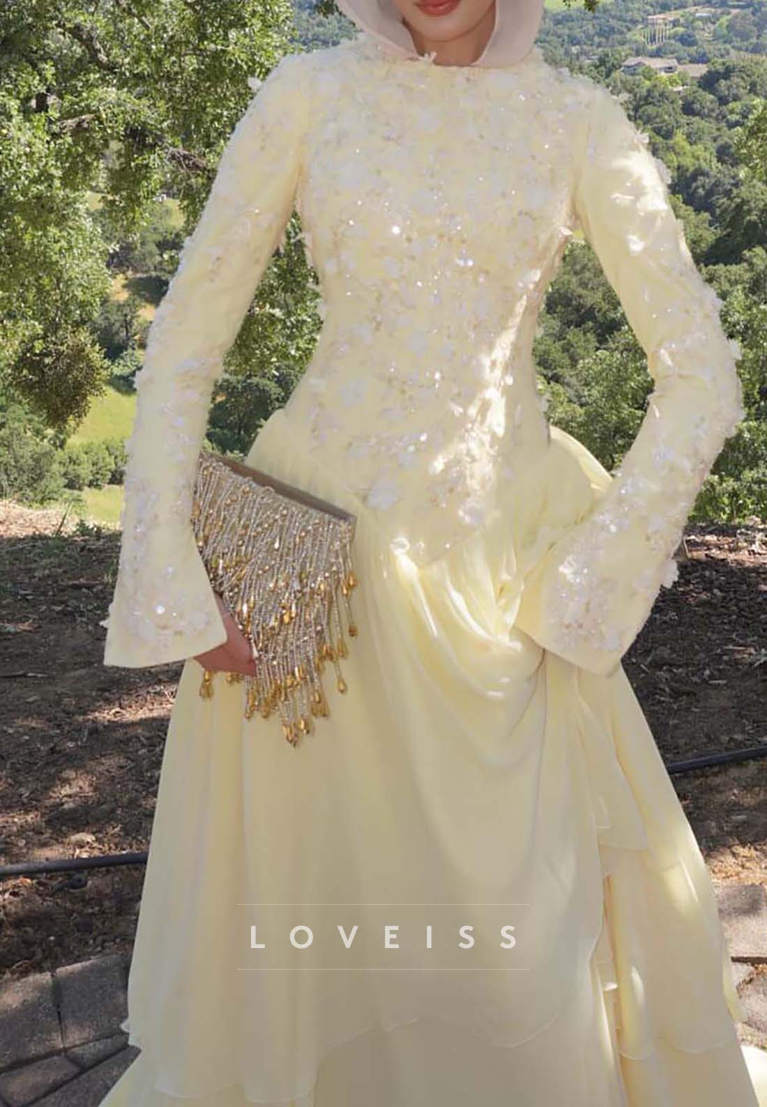 Floral Applique Basqued Ball Gown with Sleeves