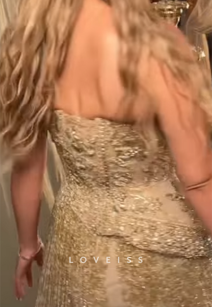 Embroidered Bodice Beaded Fringe Gown