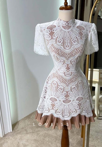 High Neck Lace Mini Dress with Pleated Hem