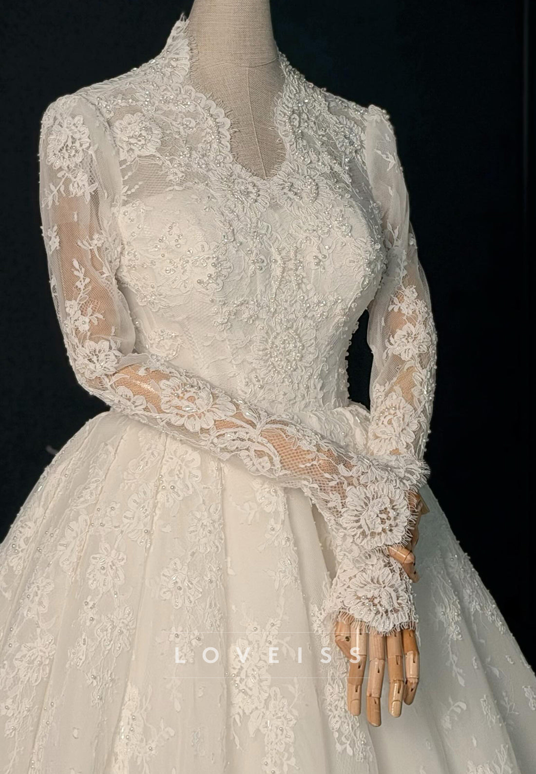 Long Sleeve Lace Ball Gown Wedding Dress with Veil