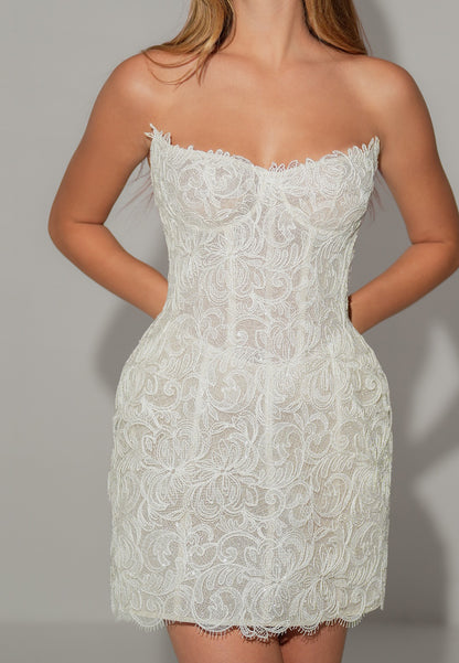 Strapless Lace Corset Mini Dress with Sleeves