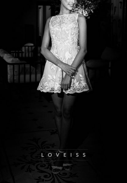 Embroidered Lace A-Line Mini Dress with Open Back